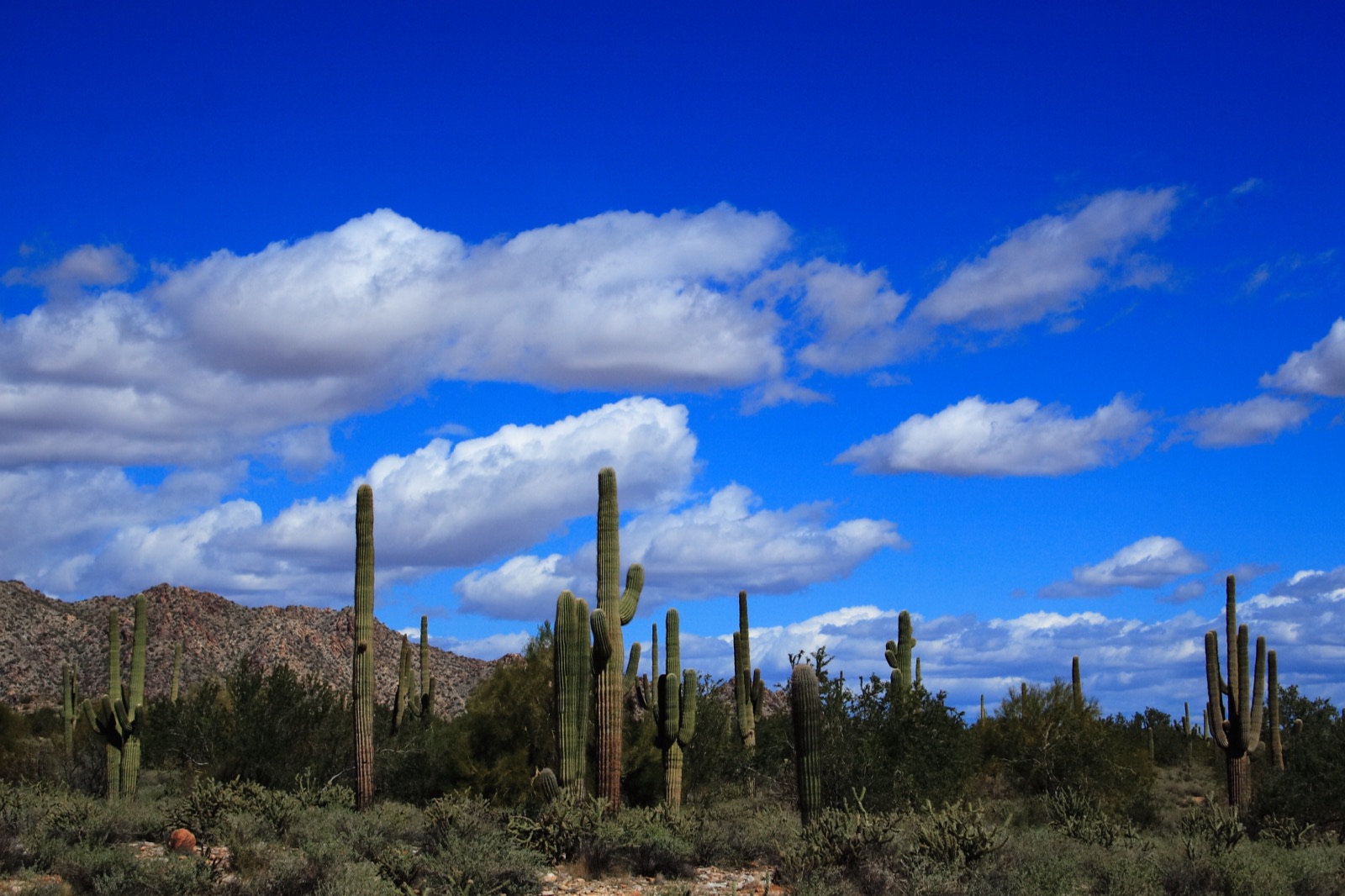 Clouds over the White Tank Mountains near Verrado in Buckeye, Arizona